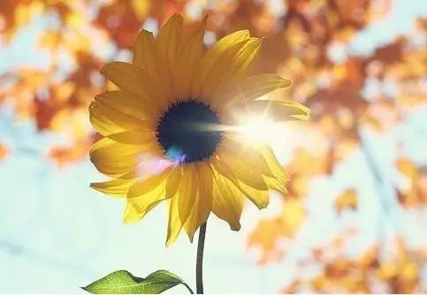 深圳达内学员感言：人生没有白走的路，每一步都算数