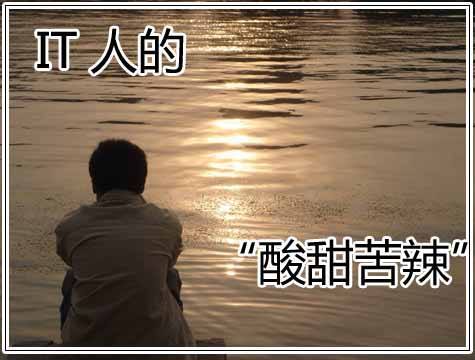 IT人的酸甜苦辣